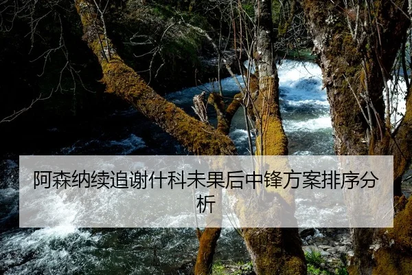 阿森纳续追谢什科未果后中锋方案排序分析