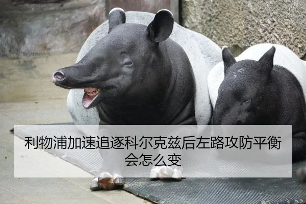 li-wu-pu-jia-su-zhui-zhu-ke-er-ke-zi-hou-zuo-lu-gong-fang-ping-heng-hui-zen-me-bian-2-585.jpg