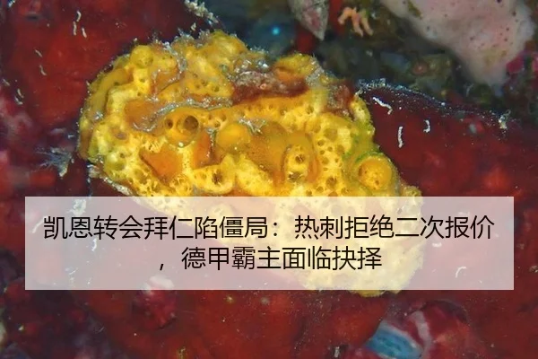 kai-en-zhuan-hui-bai-ren-xian-jiang-ju-re-ci-ju-jue-er-ci-bao-jia-de-jia-ba-zhu-mian-lin-jue-ze-3-678.jpg